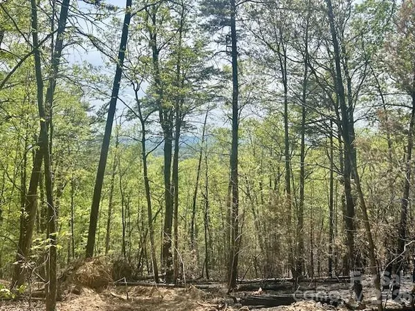 $695,000 | Tbd Mountain View Circle, Lenoir, NC 28645