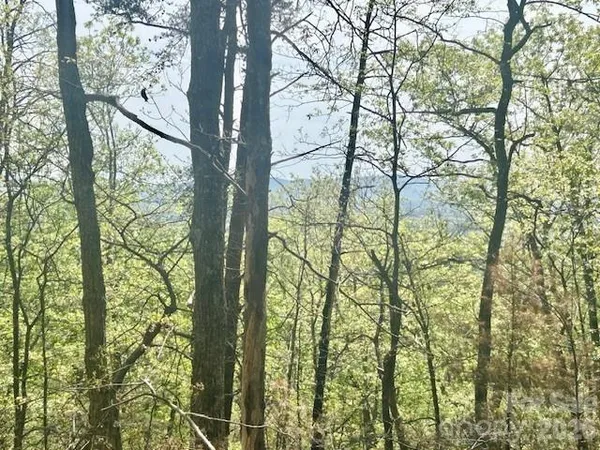 $695,000 | Tbd Mountain View Circle, Lenoir, NC 28645
