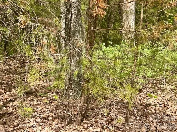 $695,000 | Tbd Mountain View Circle, Lenoir, NC 28645