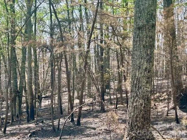 $695,000 | Tbd Mountain View Circle, Lenoir, NC 28645