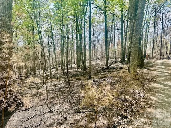 $695,000 | Tbd Mountain View Circle, Lenoir, NC 28645