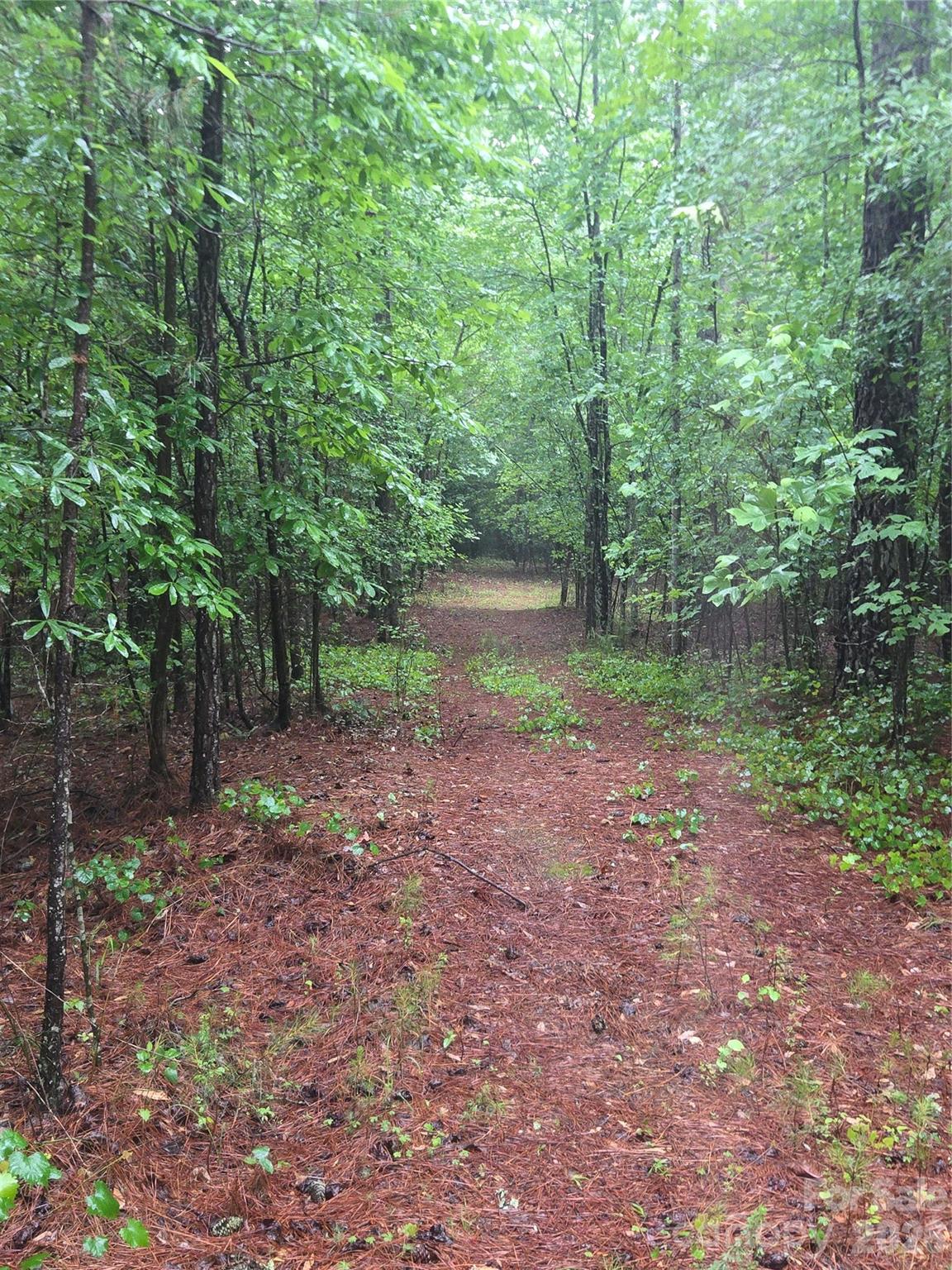 0 Mooresboro Road Mooresboro, NC 28114 - Photo 4 of 17 a view of a yard with a tree