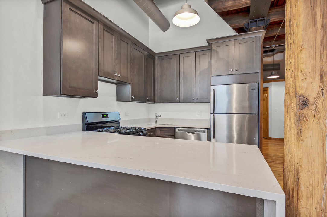 216 North May Street, Unit 103 Chicago, IL 60607 - Photo 5 of 21 a kitchen with stainless steel appliances a refrigerator sink and cabinets