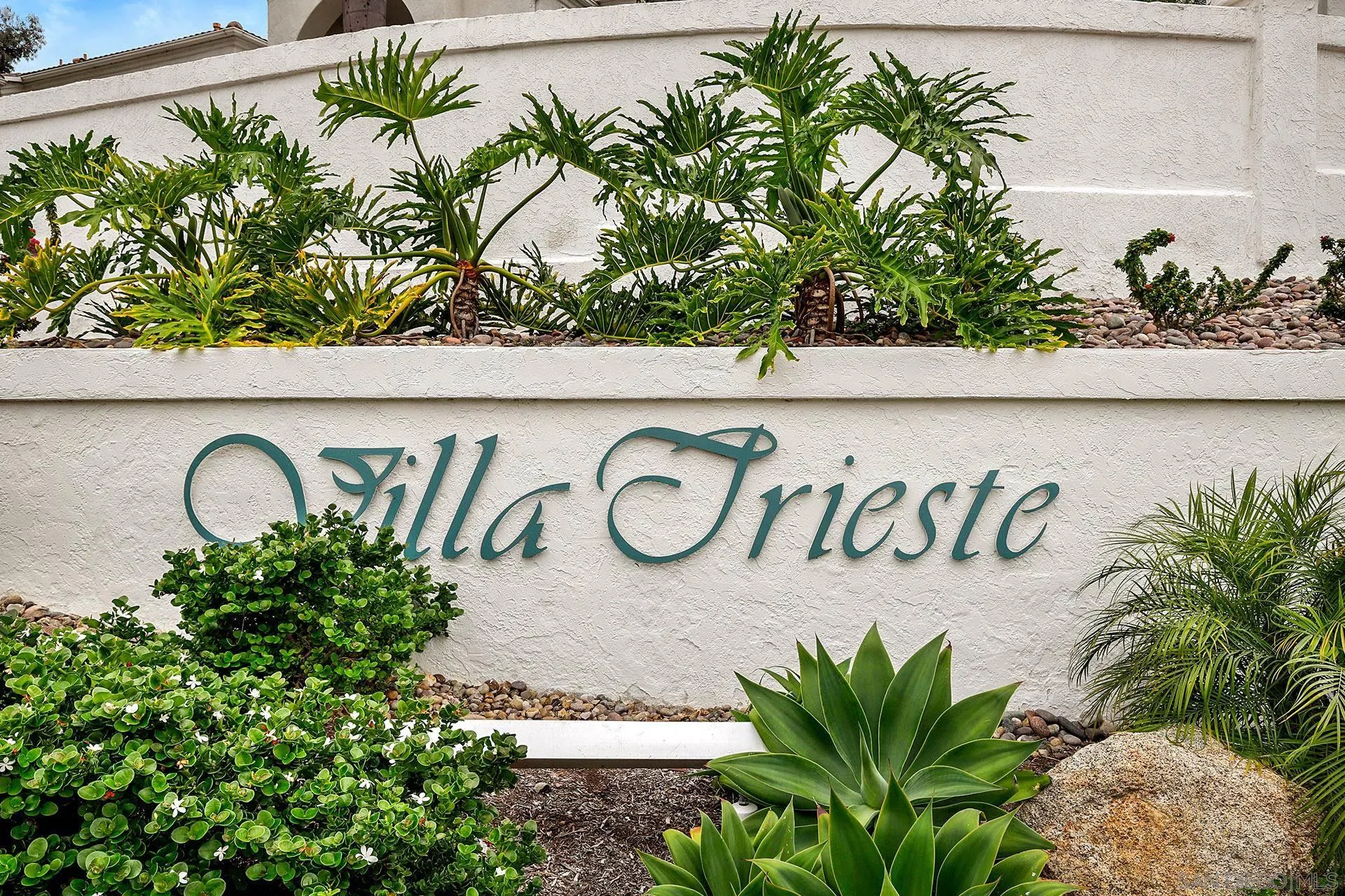 3355 Genoa Way, Unit 134 Oceanside, CA 92056 - Photo 28 of 32 a close up of a potted plant