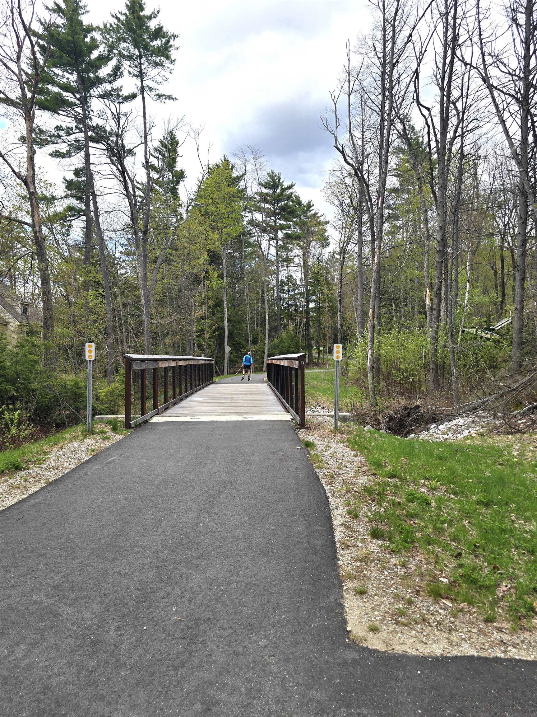 Lot 260 Thompson Road North Conway, NH 03860 - Photo 13 of 20