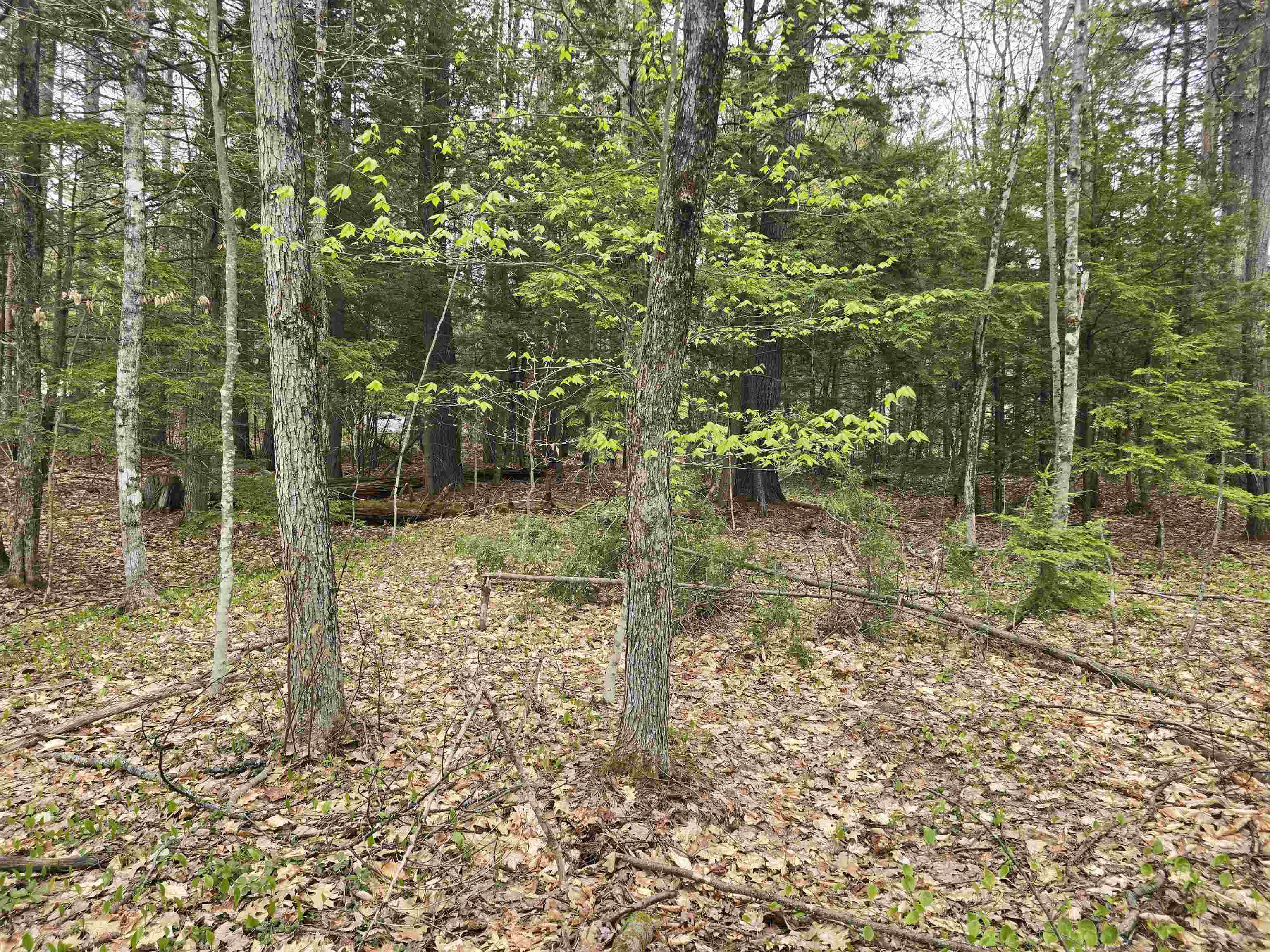 Lot 260 Thompson Road North Conway, NH 03860 - Photo 2 of 20