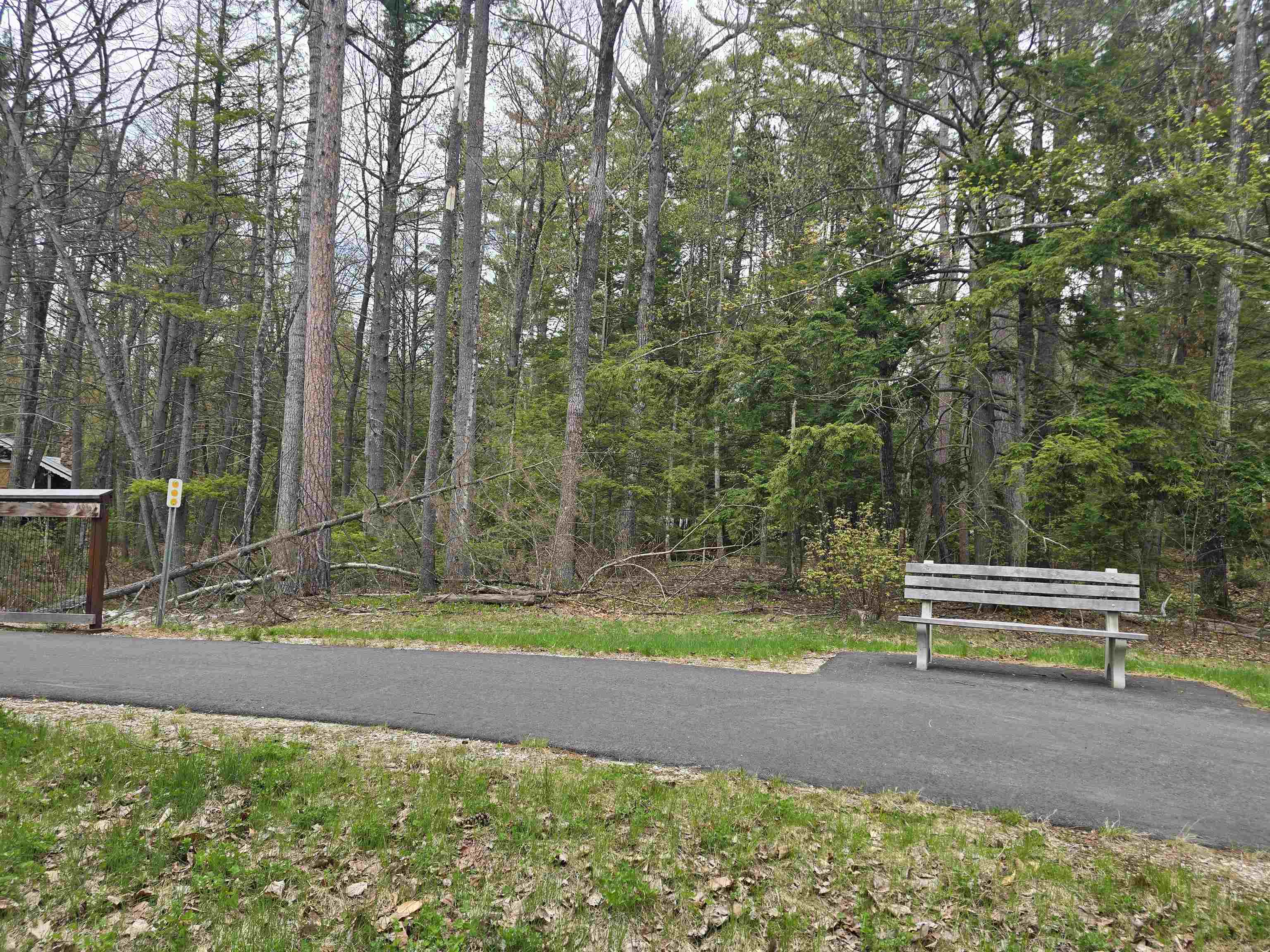 Lot 260 Thompson Road North Conway, NH 03860 - Photo 6 of 20
