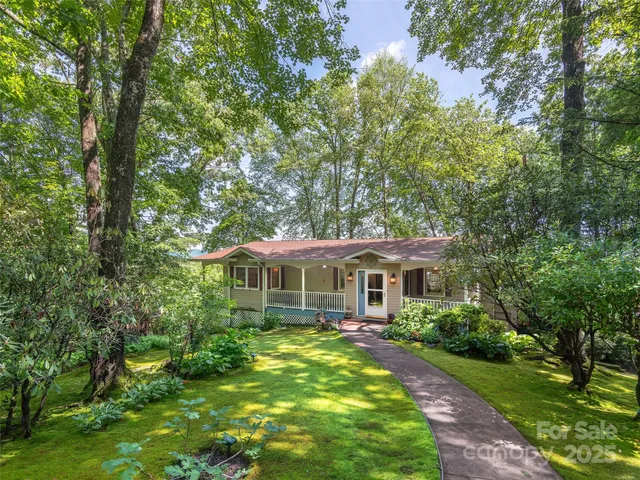 a view of a yard with plants