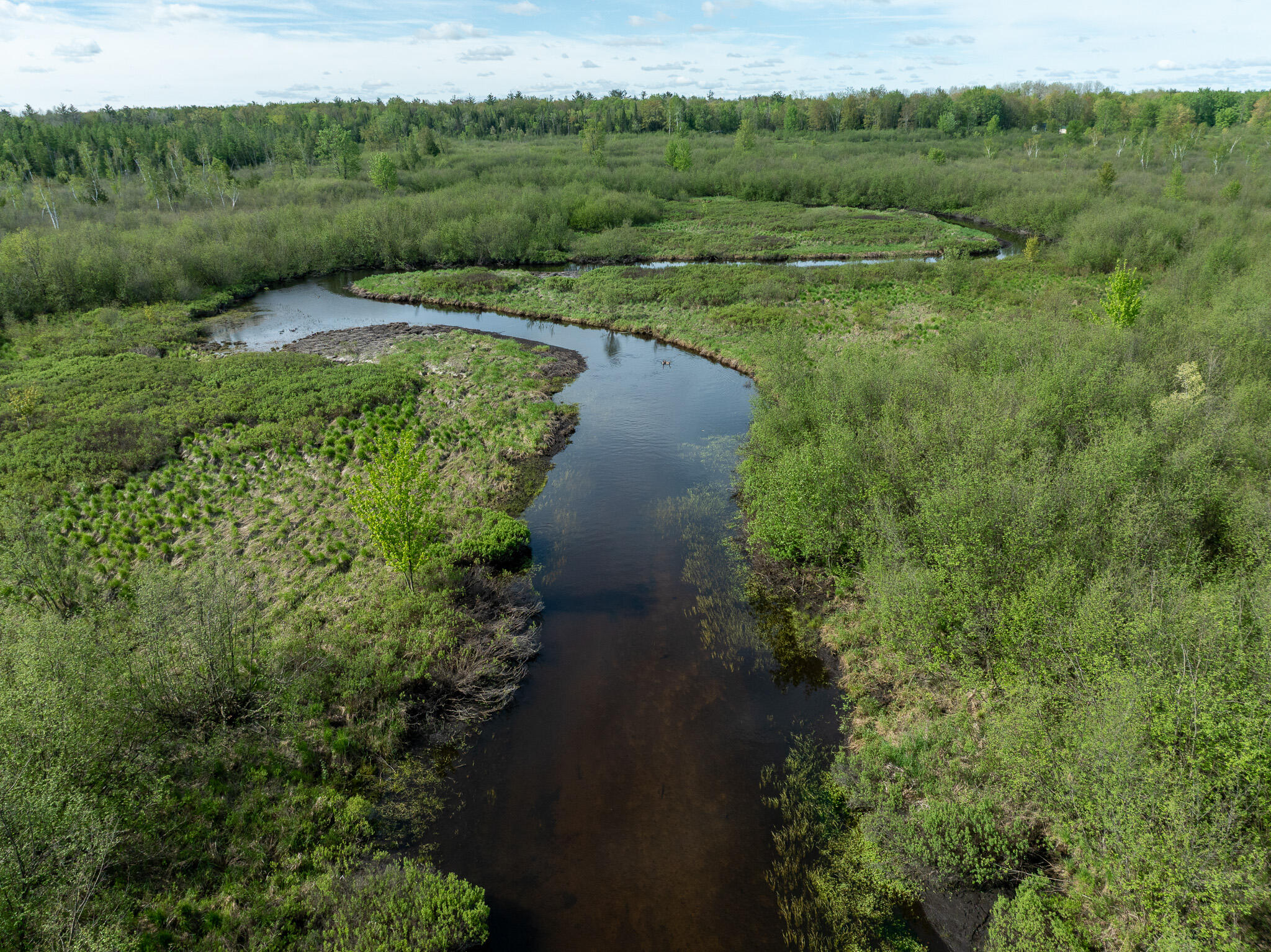3 3 Mile Road Sears, MI 49679 - Photo 1 of 62 DJI_0344