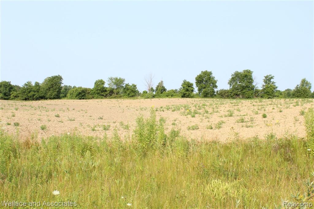 Lot 4 McIntyre Road North Street, MI 48049 - Photo 7 of 14