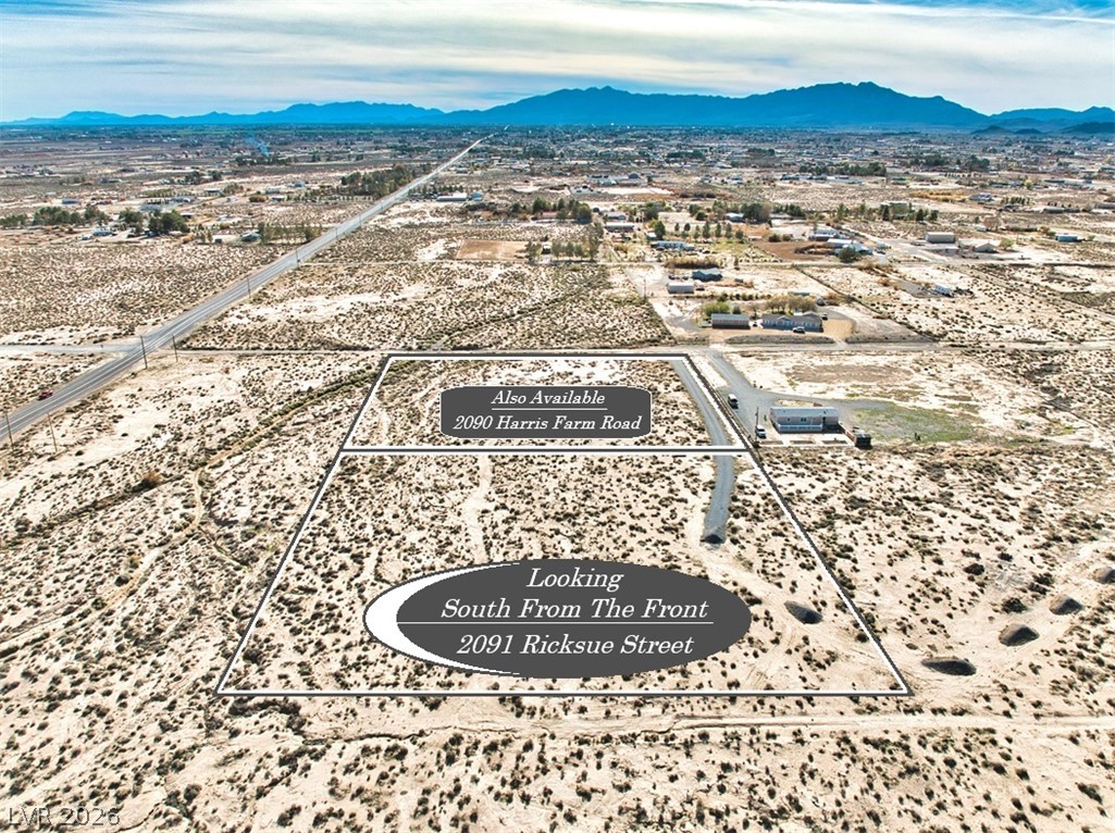 2091 Ricksue Street Pahrump, NV 89060 - Photo 6 of 12