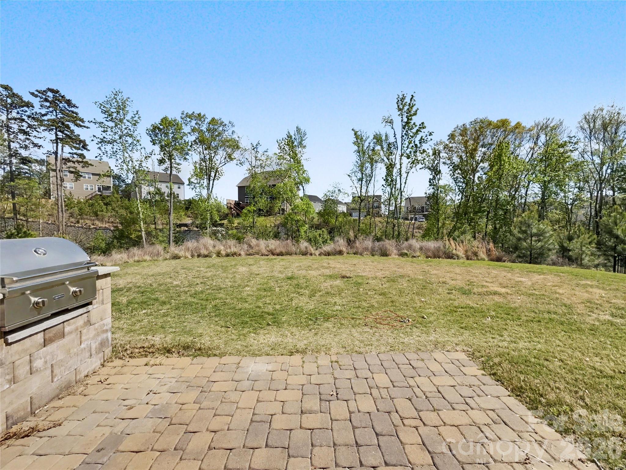 16835 Cozy Cove Road Charlotte, NC 28278 - Photo 28 of 32 a view of yard with trees