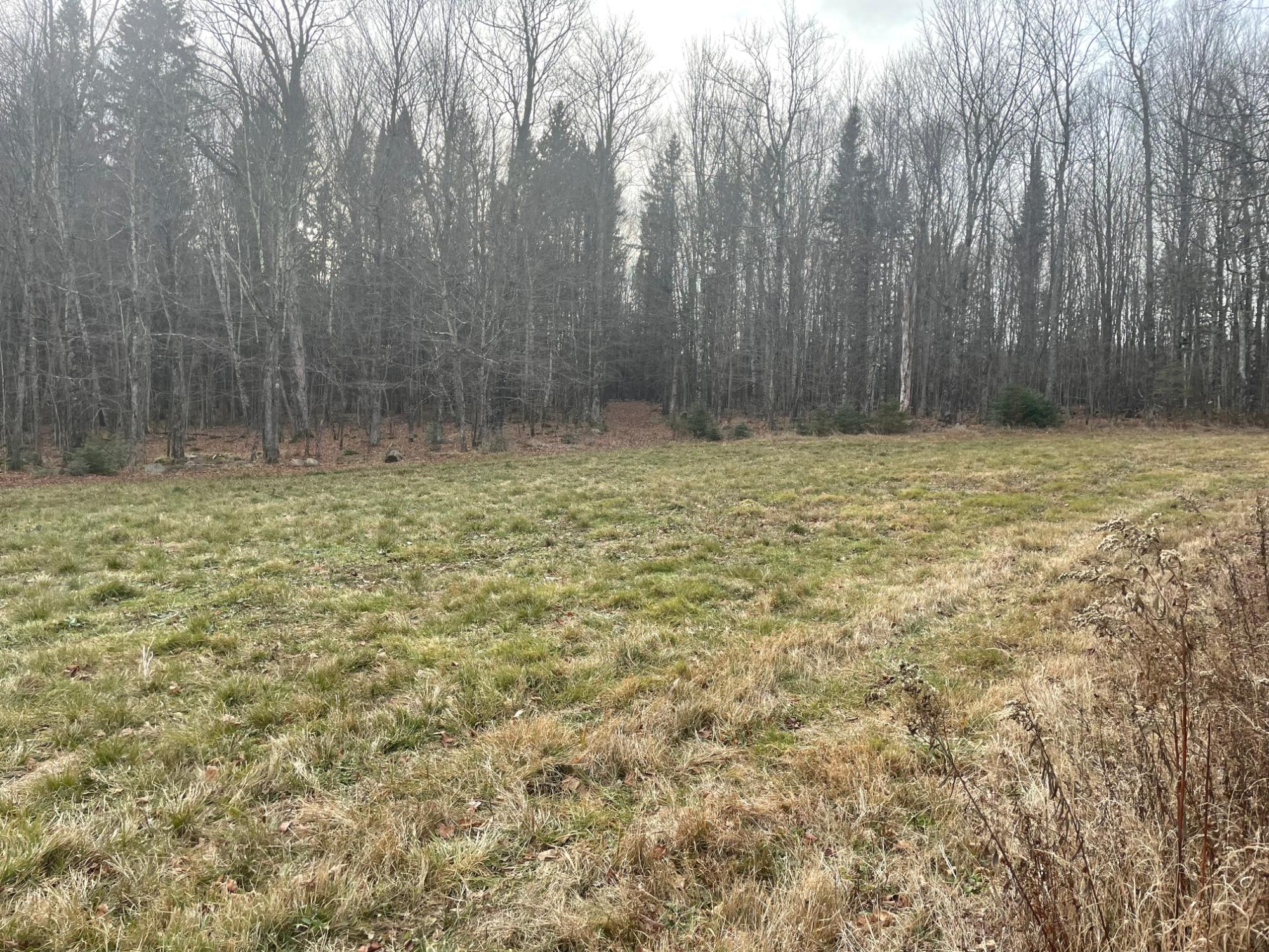 Off South Park Road, Unit 80 / A Butternut, WI 54514 - Photo 4 of 47 Gallery Image 4