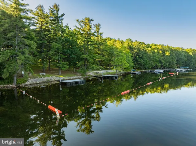 a view of a park with large trees