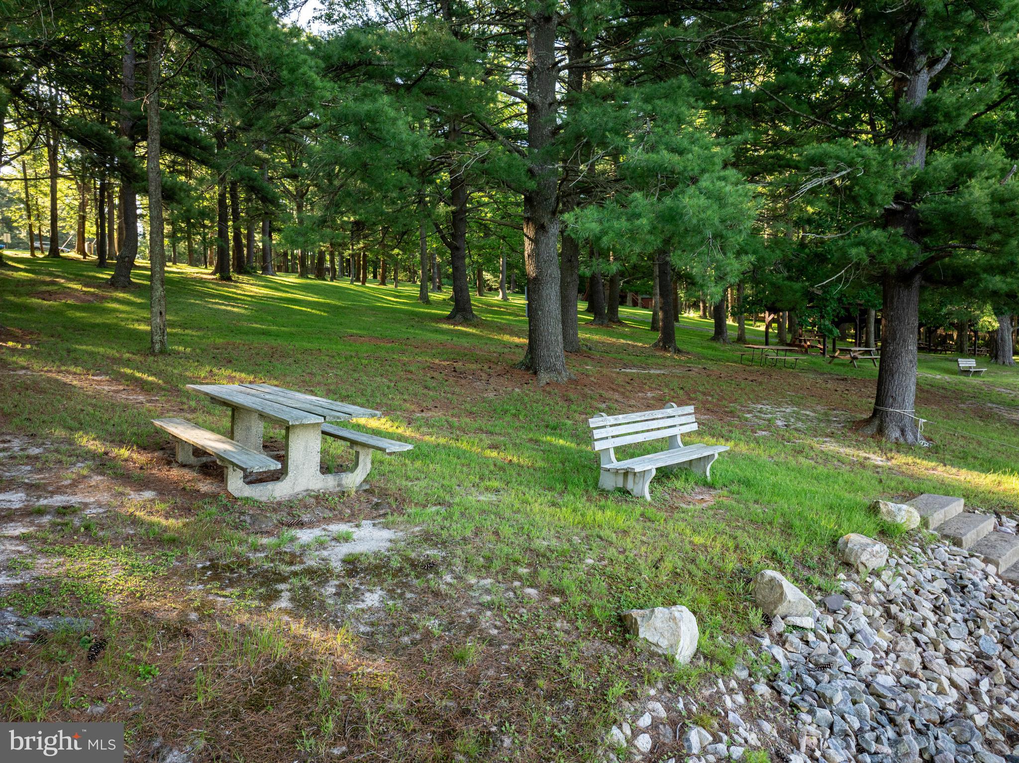 18 Frederick Circle Swanton, MD 21561 - Photo 51 of 63 a garden view