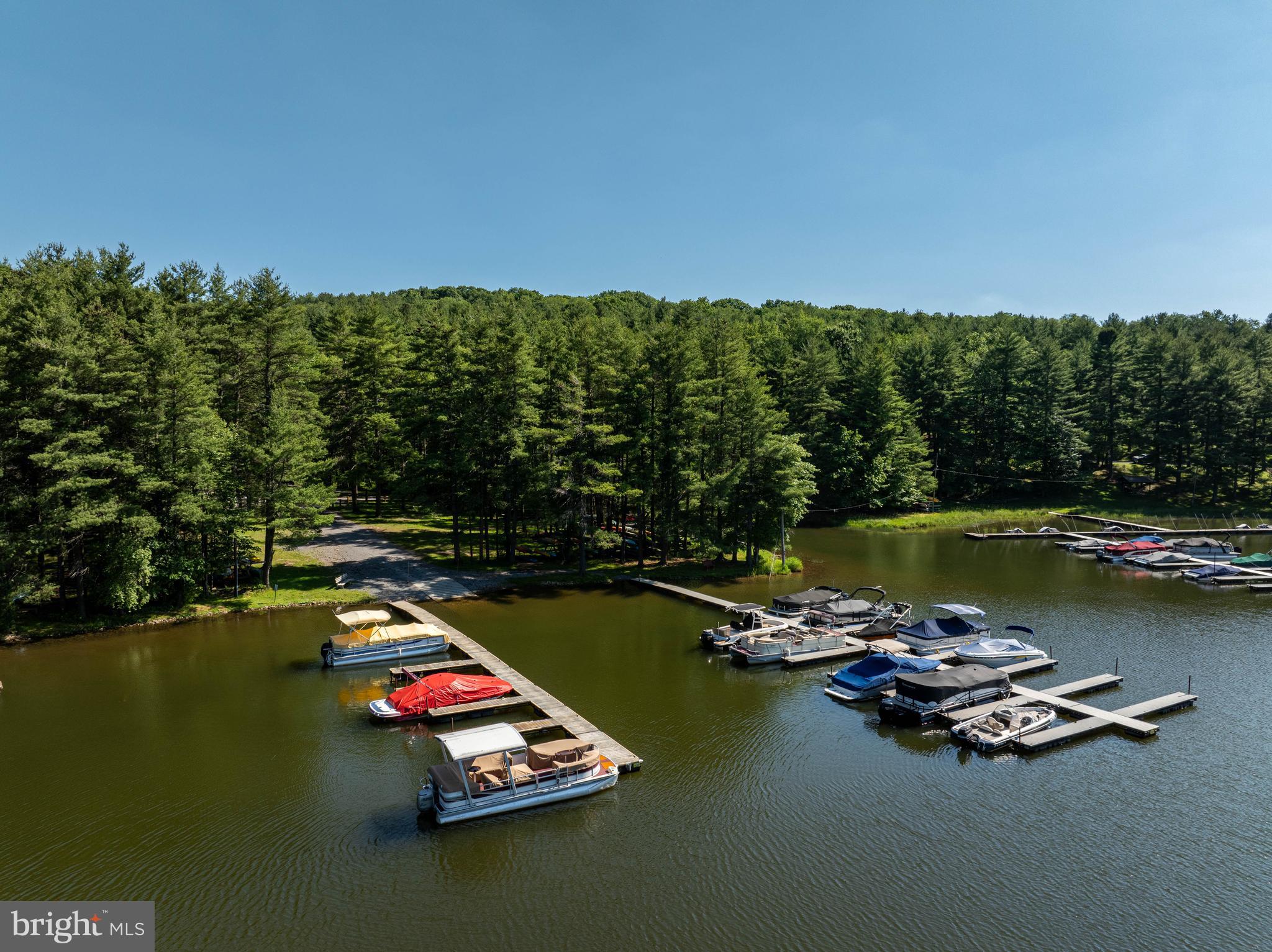 18 Frederick Circle Swanton, MD 21561 - Photo 55 of 64 a view of a lake with boats and trees in the background