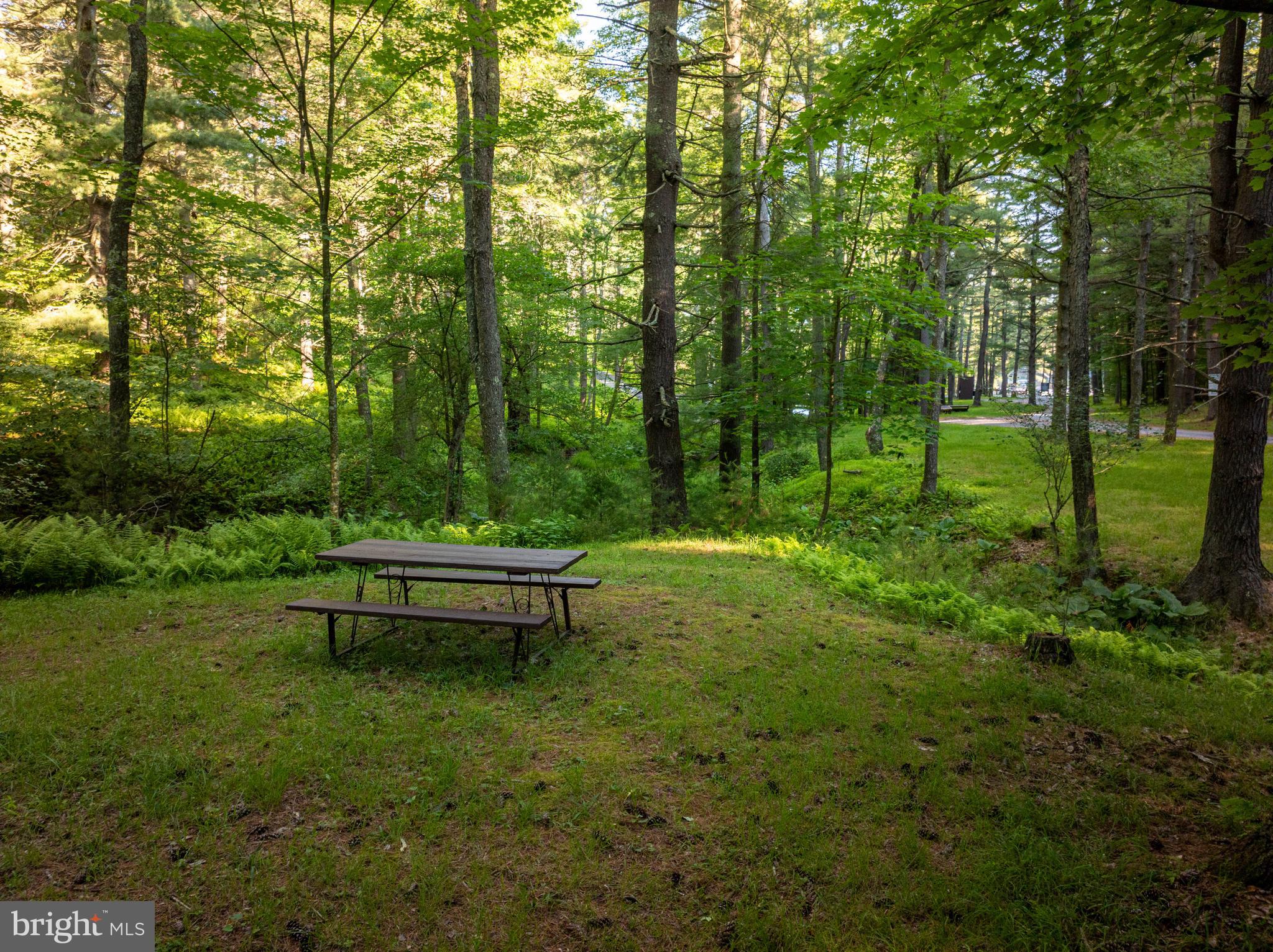 18 Frederick Circle Swanton, MD 21561 - Photo 57 of 64 a view of a bench in a garden