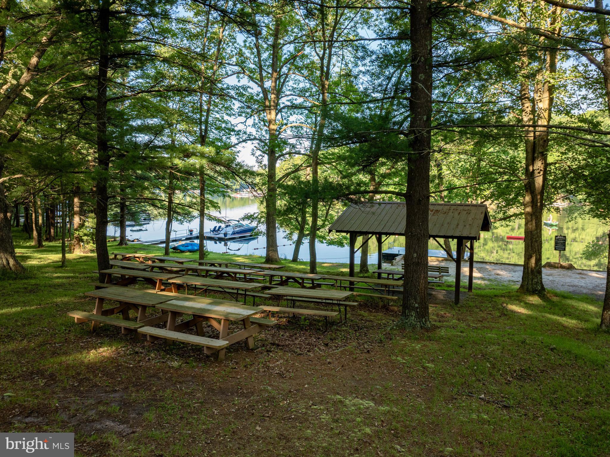 18 Frederick Circle Swanton, MD 21561 - Photo 63 of 64 a view of a park with large trees