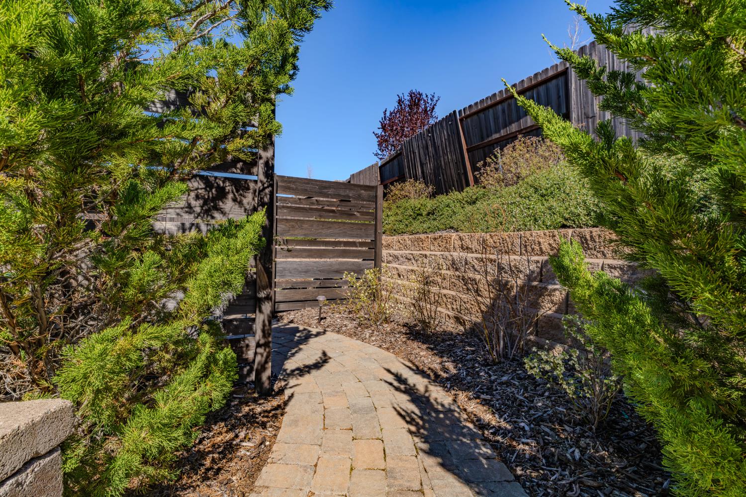143 Emerald Lane Jackson, CA 95642 - Photo 42 of 53 a view of a pathway of a yard