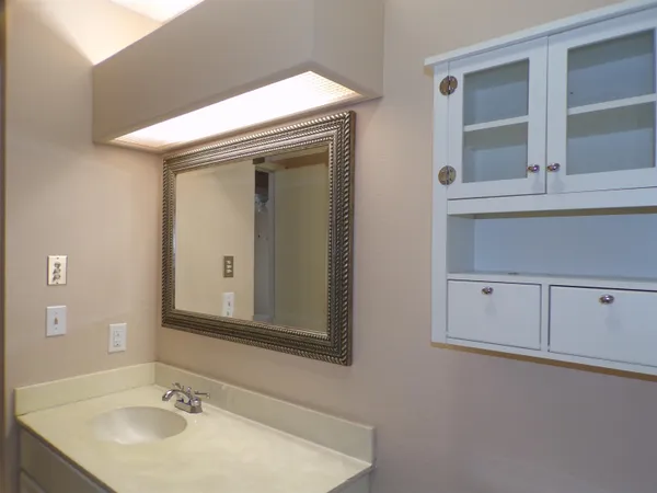 a bathroom with a sink and a mirror