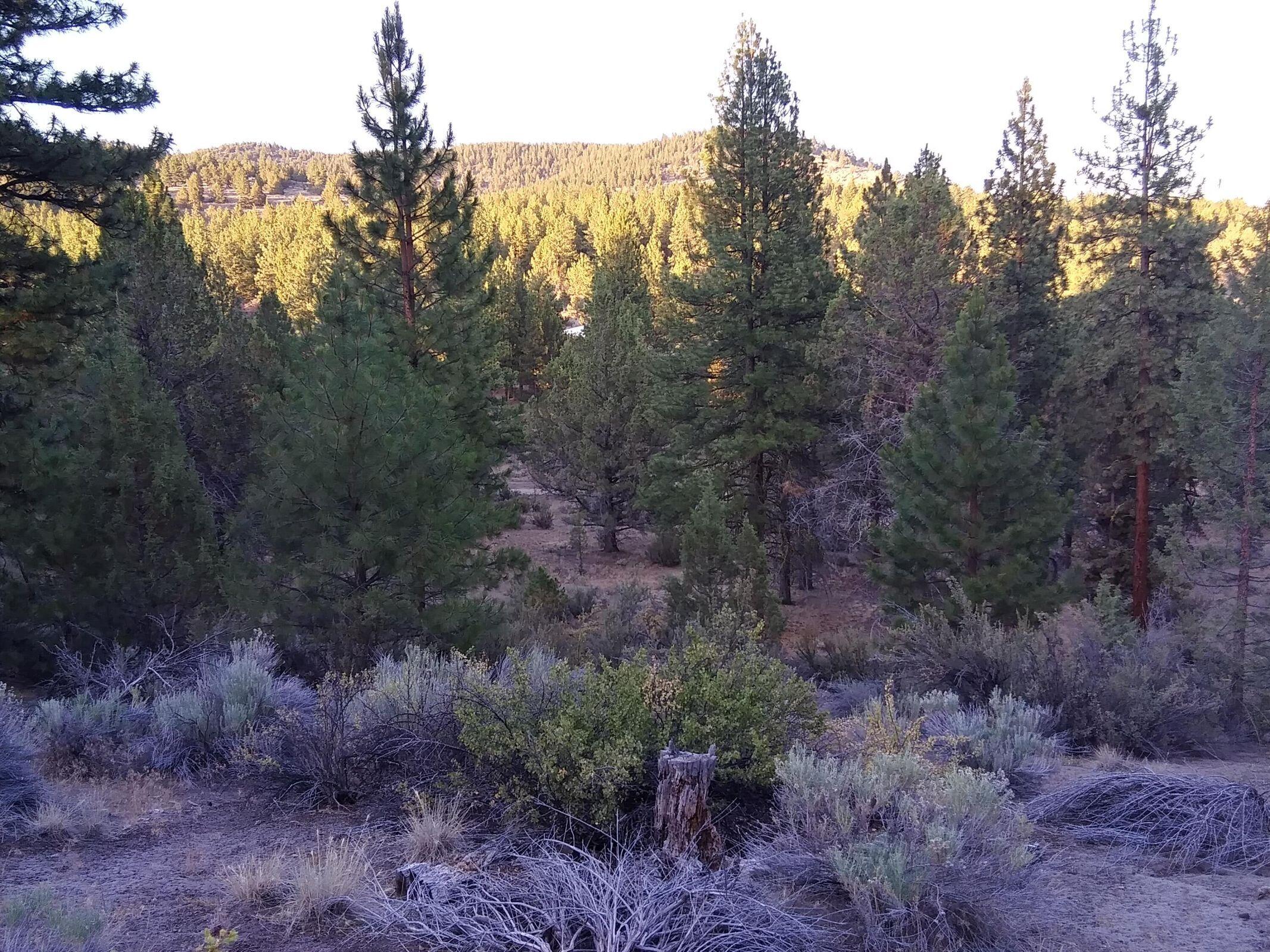 0 Ferguson Mountain Road, Unit LOT 3 B 500 Beatty, OR 97621 - Photo 2 of 7 Ferguson