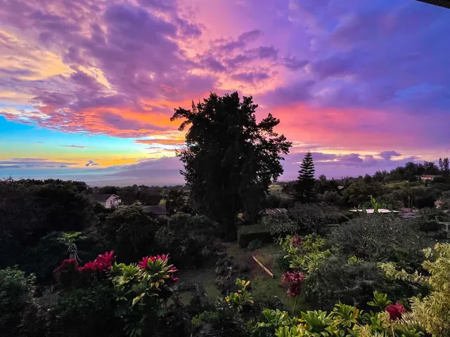 $2,225,000 | 4010 Kula Highway, Kula, HI 96790