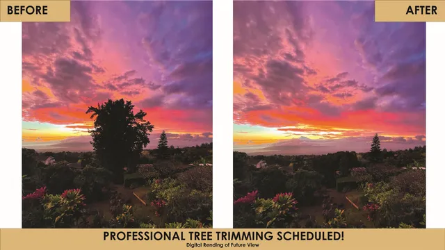 $2,225,000 | 4010 Kula Highway, Kula, HI 96790