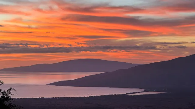 $2,225,000 | 4010 Kula Highway, Kula, HI 96790