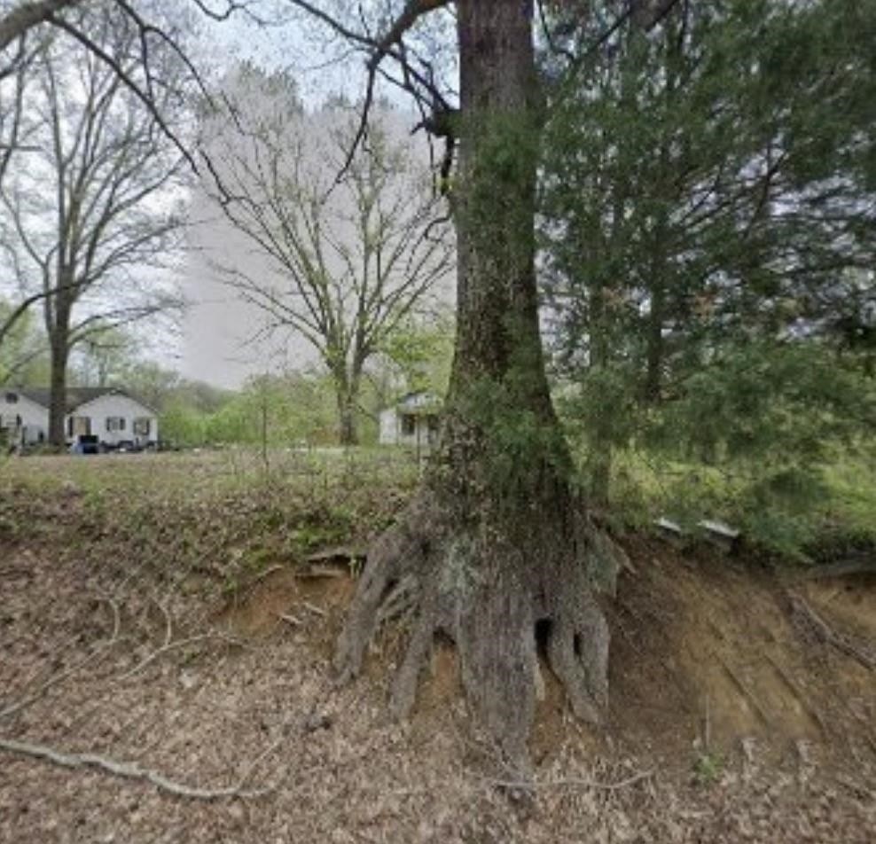 6920 Walsh Road Millington, TN 38053 - Photo 2 of 2 Gallery Image 2
