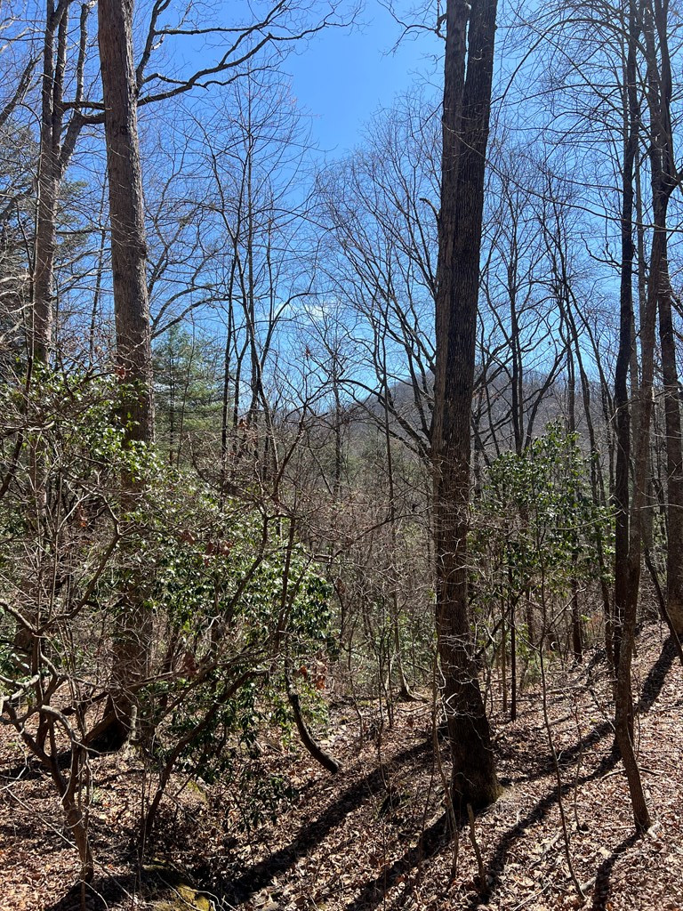 Lots Lots High View Road Murphy, NC 28906 - Photo 14 of 18