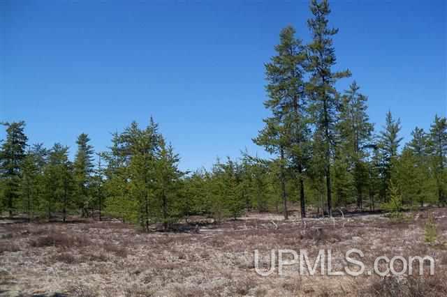 Tbd Red Road, Unit PARCEL 5 Ishpeming, MI 49849 - Photo 6 of 9 Gallery Image 6