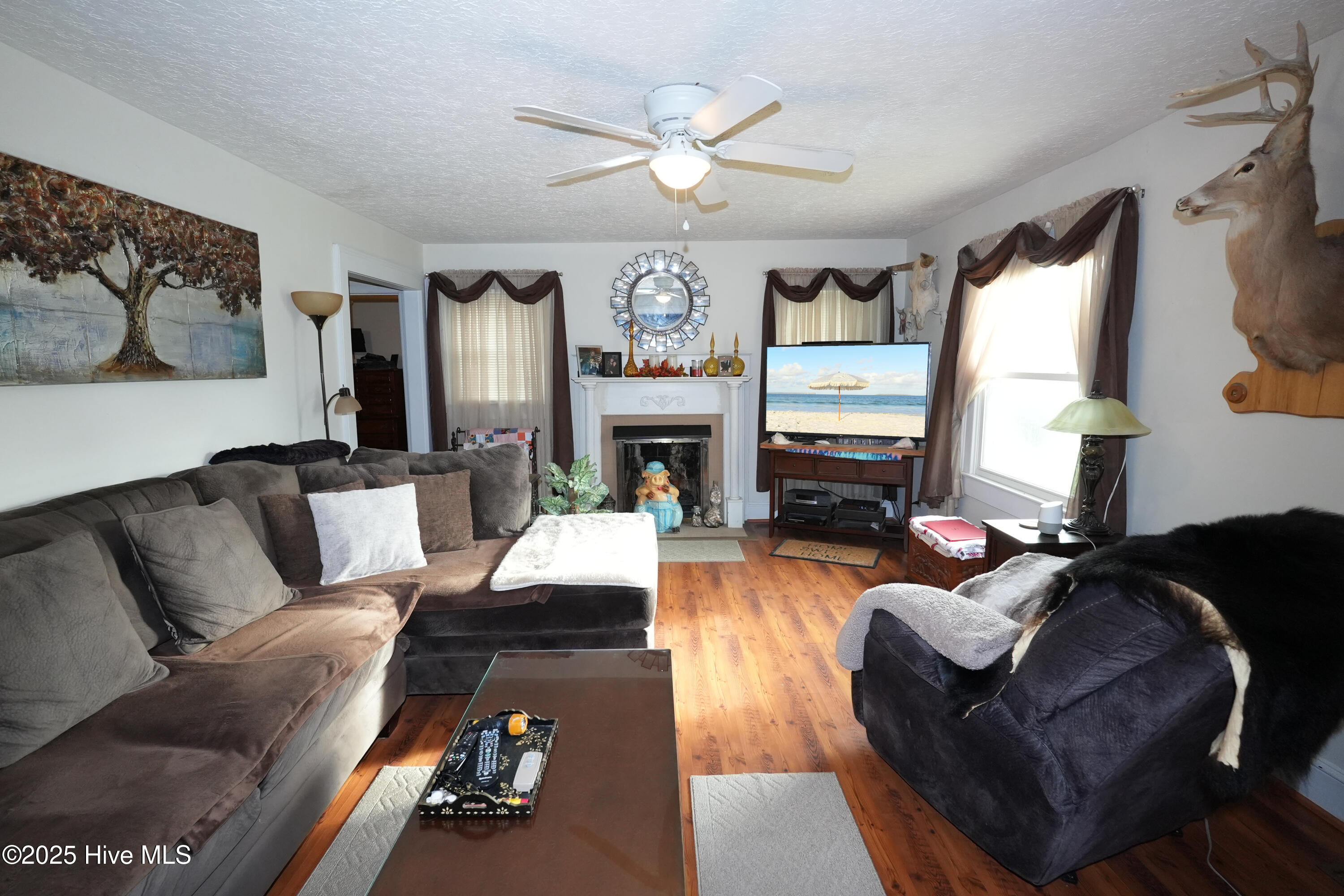 3524 Castle Hayne Road Castle Hayne, NC 28429 - Photo 2 of 25 Living Room