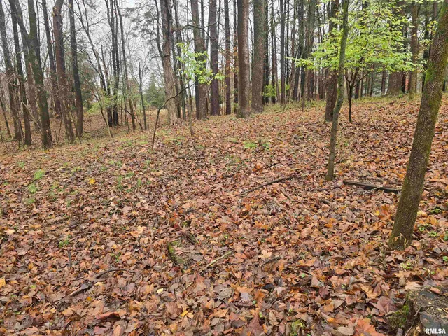 $269,000 | 567 Union Grove Road, Carbondale, IL 62903