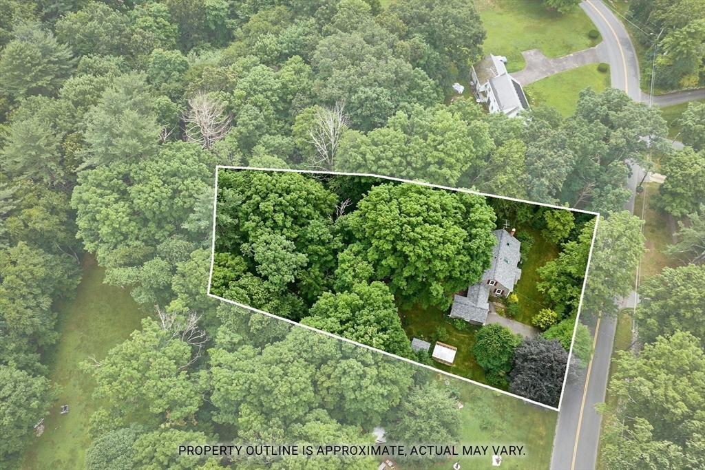 145 Chesterfield Road Northampton, MA 01053 - Photo 38 of 42 a view of a forest