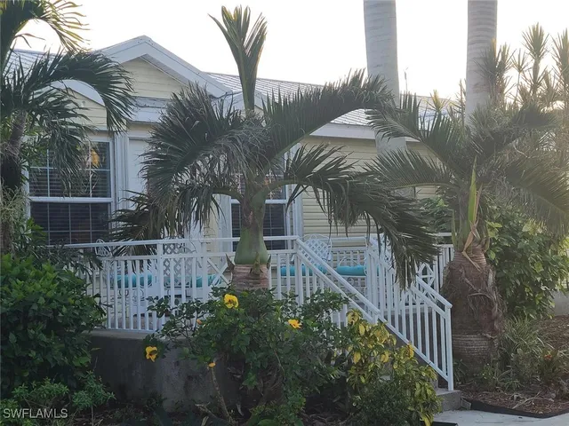 a view of a yard with plants and trees
