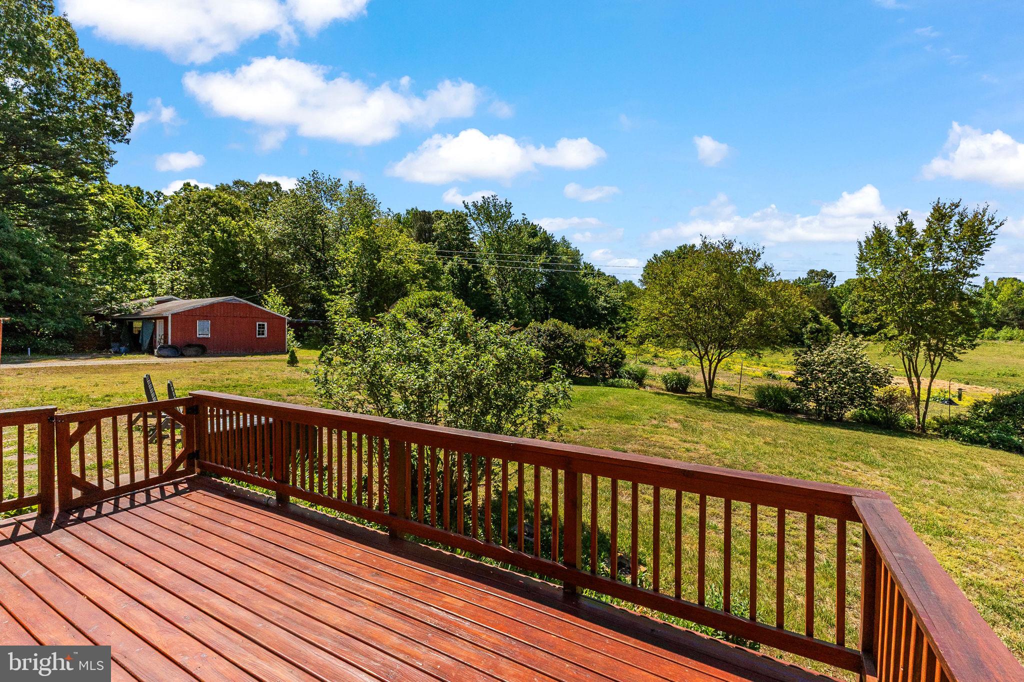 6028 St Pauls Road King George, VA 22485 - Photo 15 of 50 View of Backyard