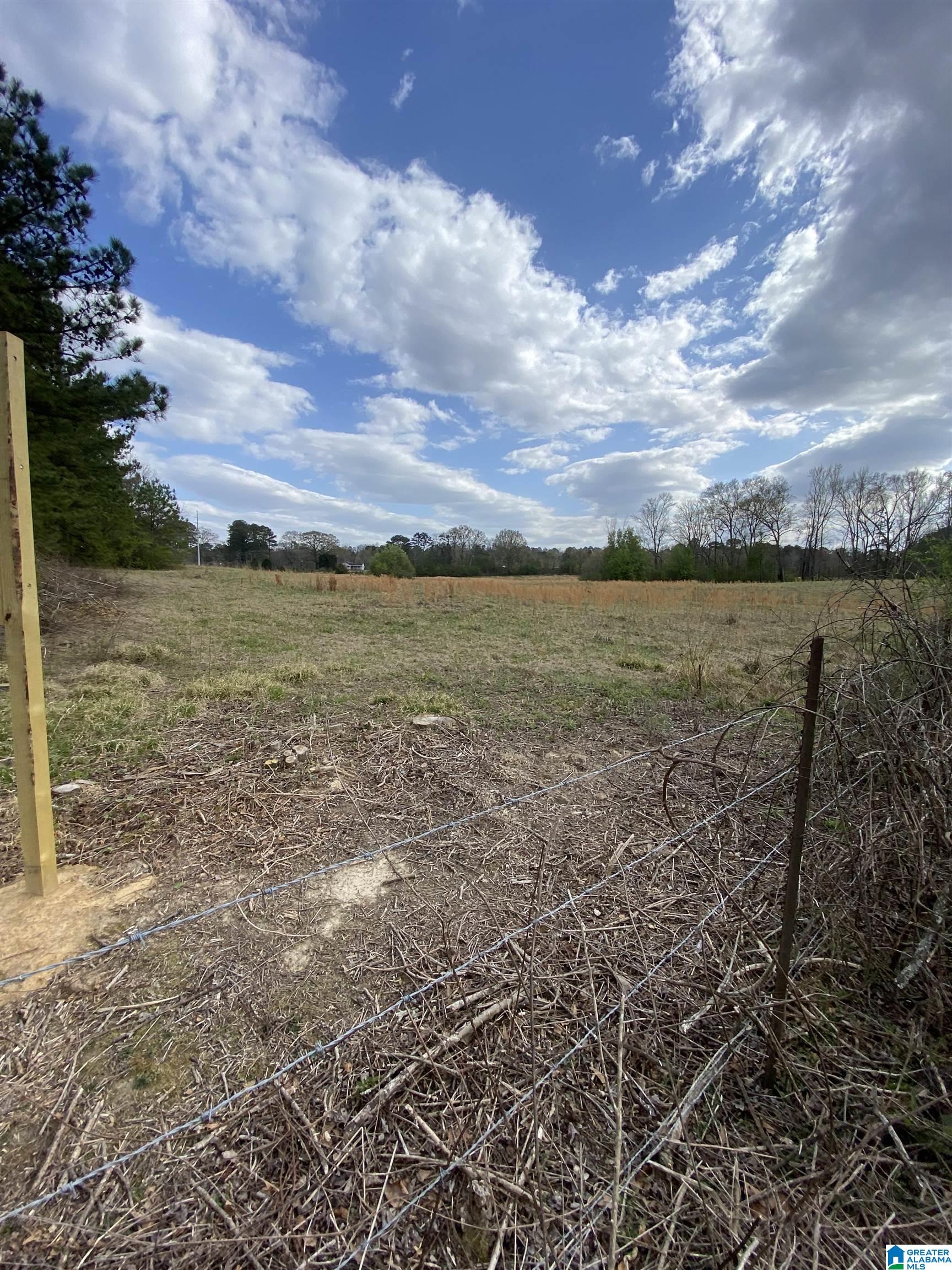 4474 Camp Coleman Road, Unit LAND Trussville, AL 35173 - Photo 3 of 4