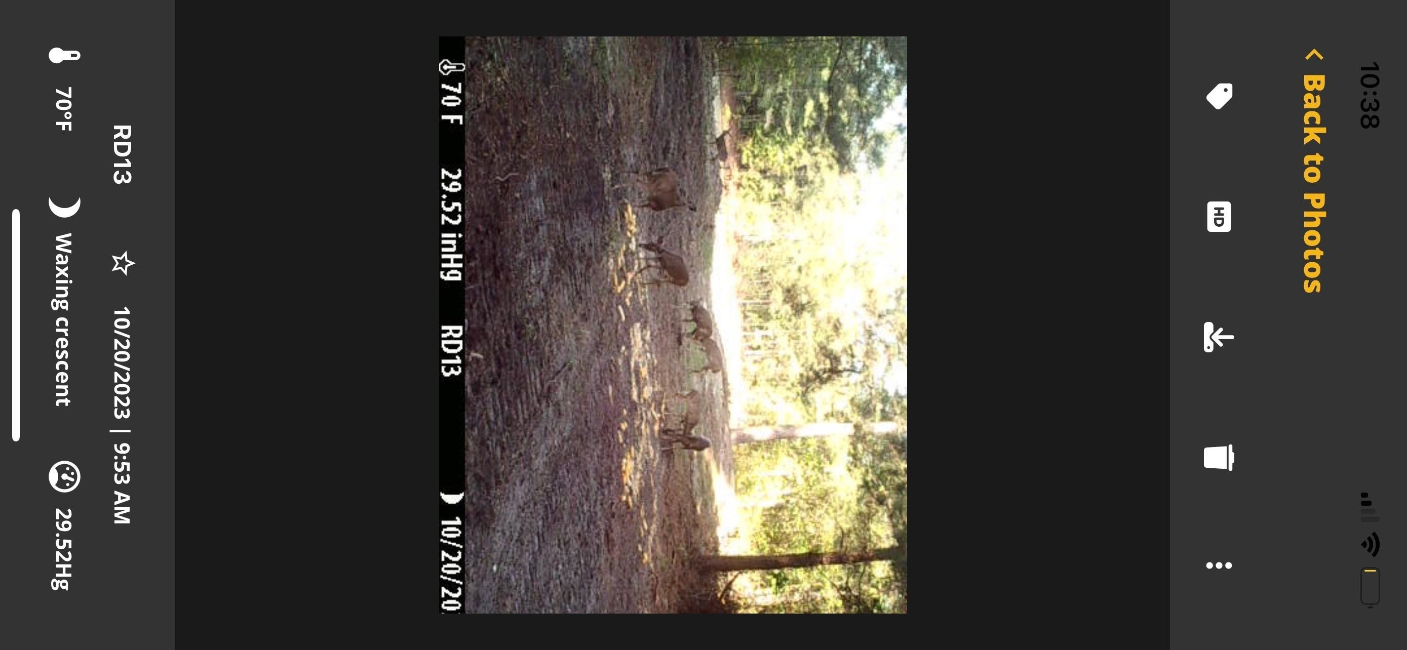 564 Gardner Road Four Oaks, NC 27524 - Photo 1 of 17 Photo 1