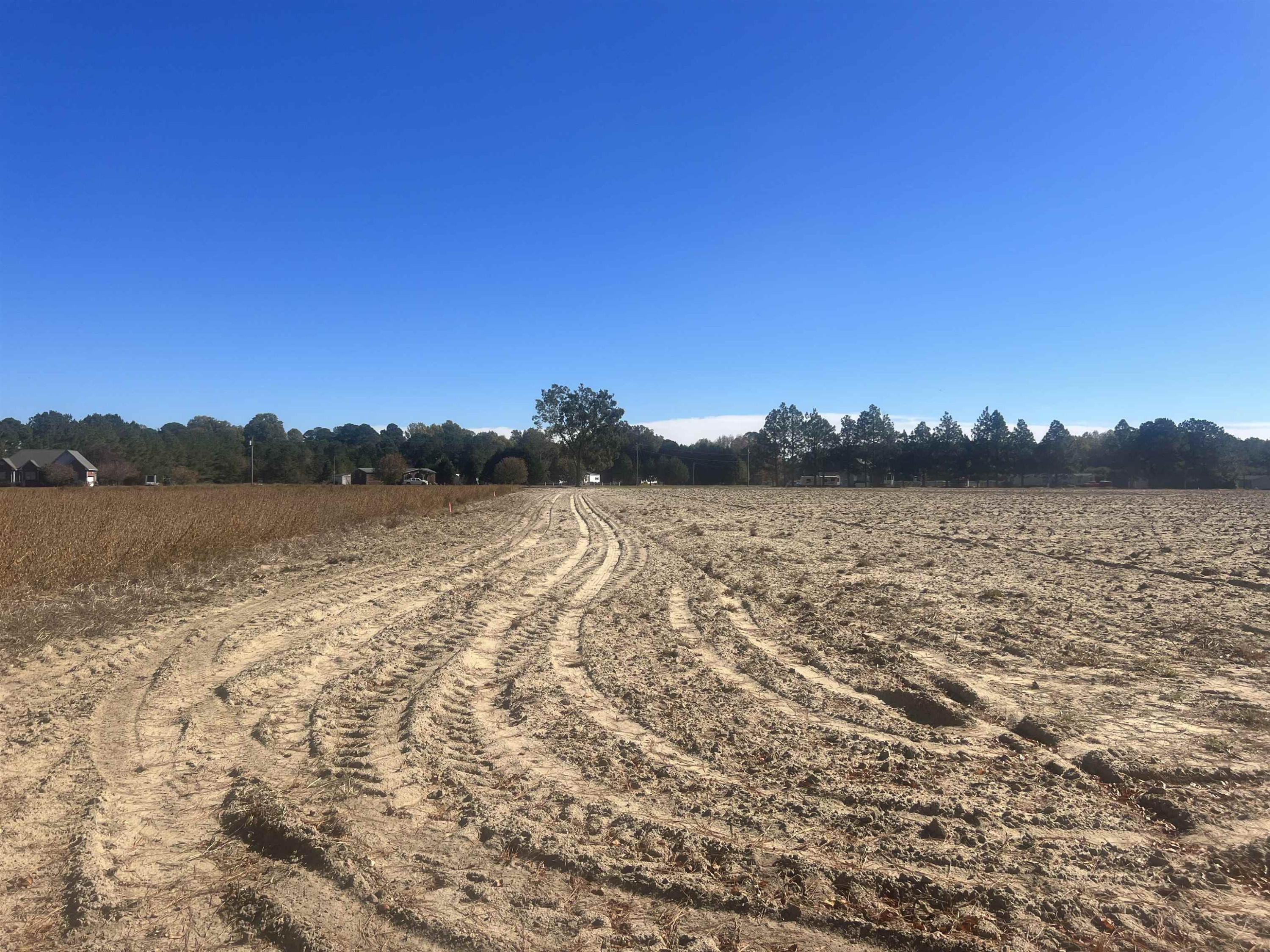 564 Gardner Road Four Oaks, NC 27524 - Photo 13 of 17 Photo 14