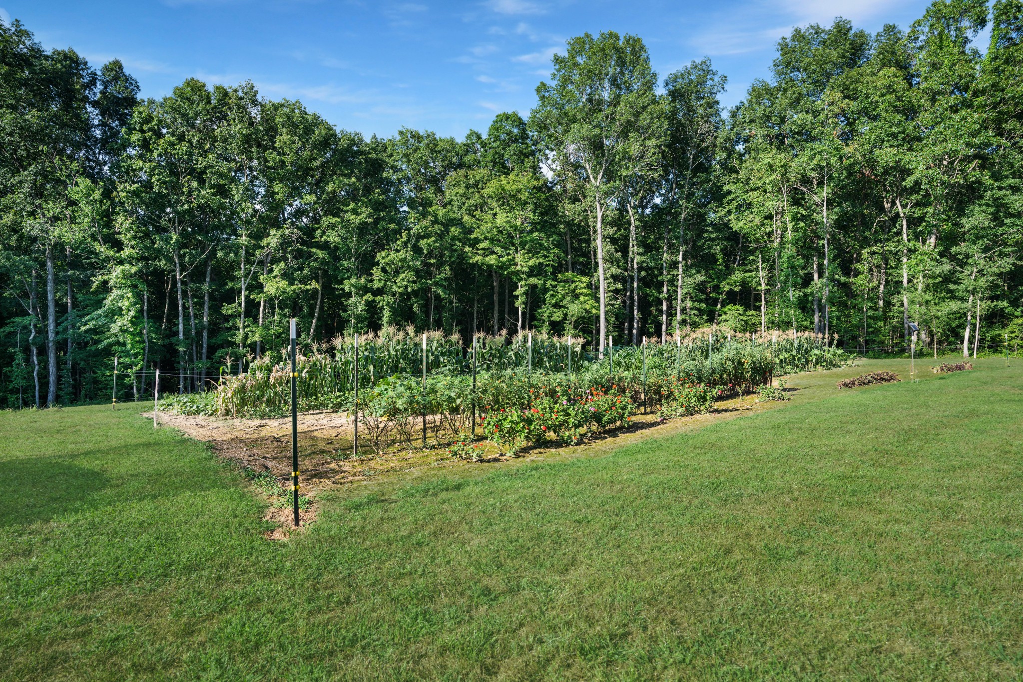 1779 Mt Zion Road Big Sandy, TN 38221 - Photo 29 of 31 a view of a park