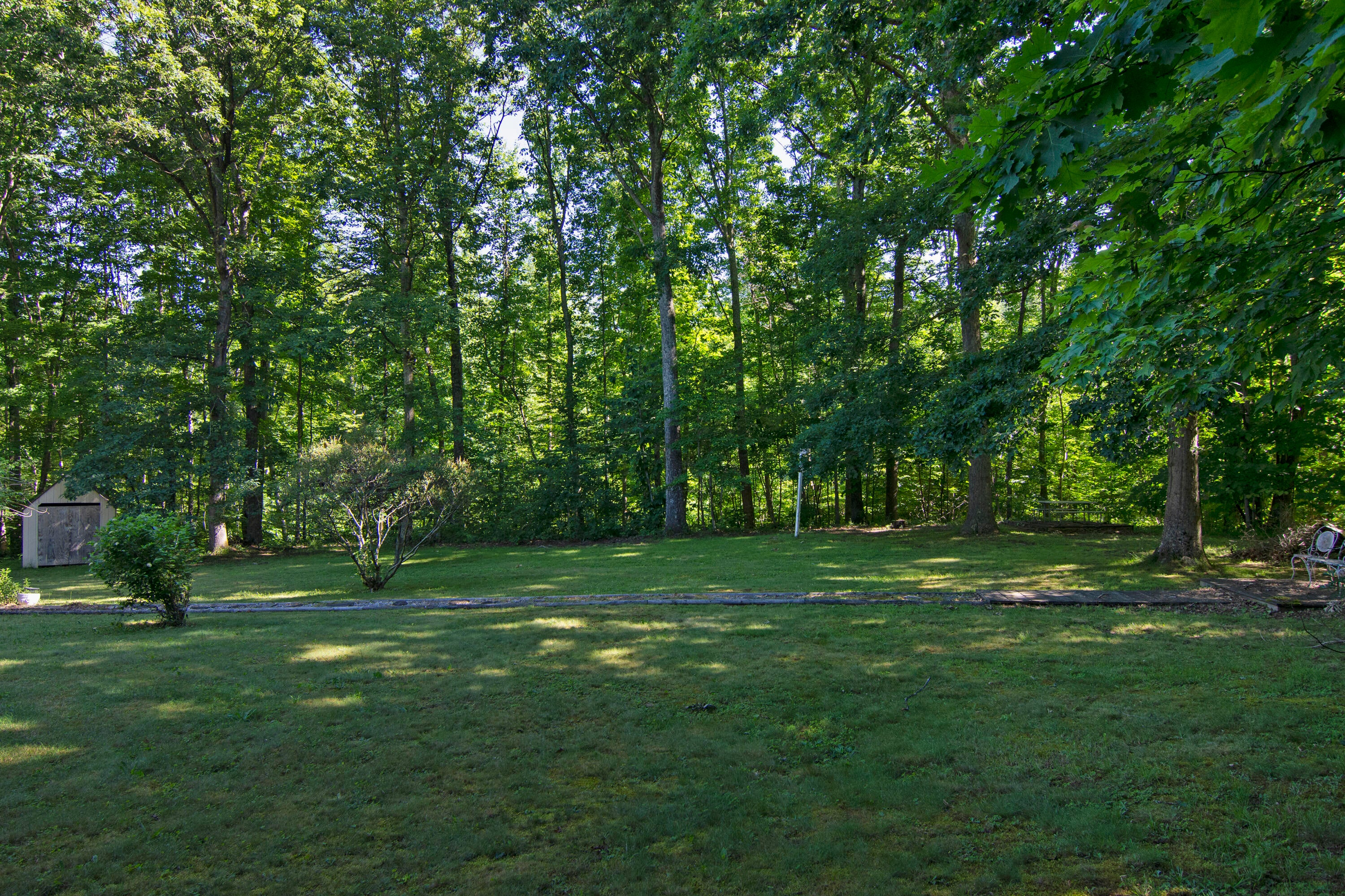 324 Springdale Sawmill Road Meadow Bridge, WV 25976 - Photo 13 of 43 Gallery Image 13