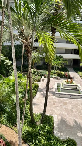 a view of a park with large trees