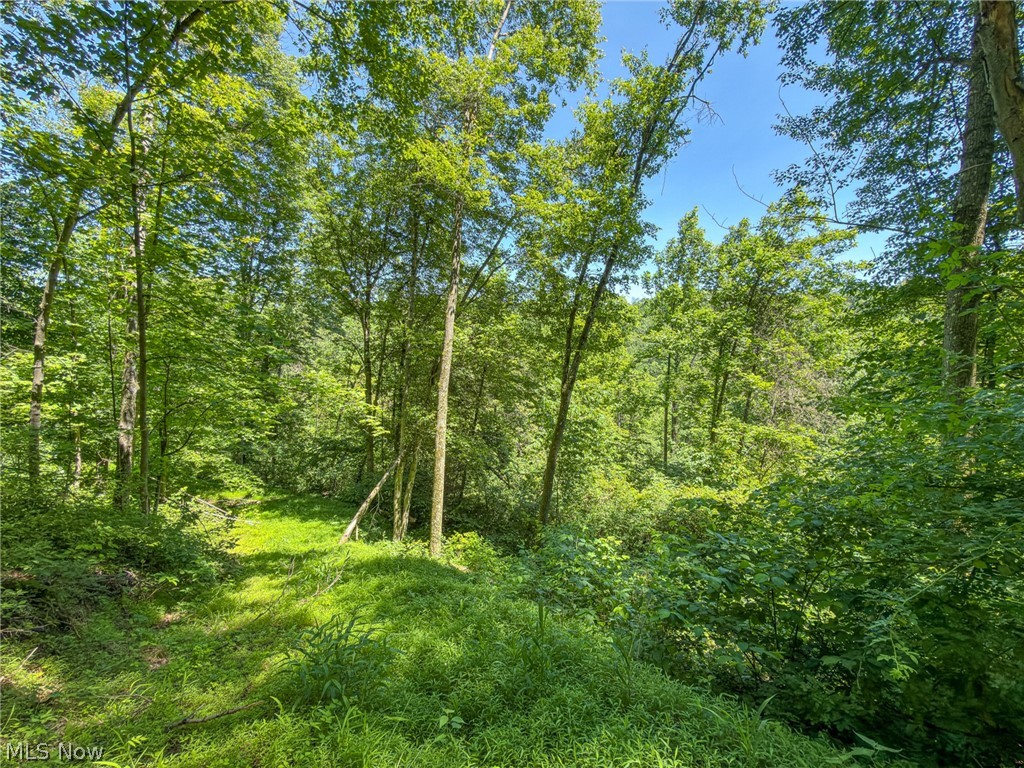 0 Twp Road Marietta, OH 45750 - Photo 35 of 50