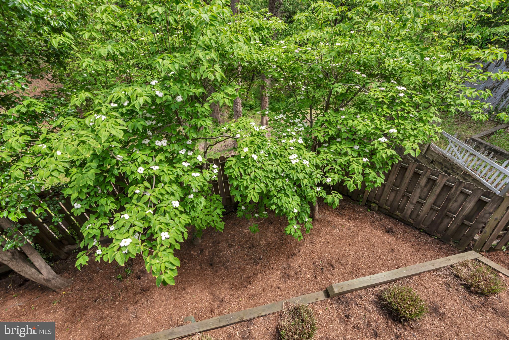 155 Ridgeway Circle Arnold, MD 21012 - Photo 45 of 73 a backyard of a house with lots of green space