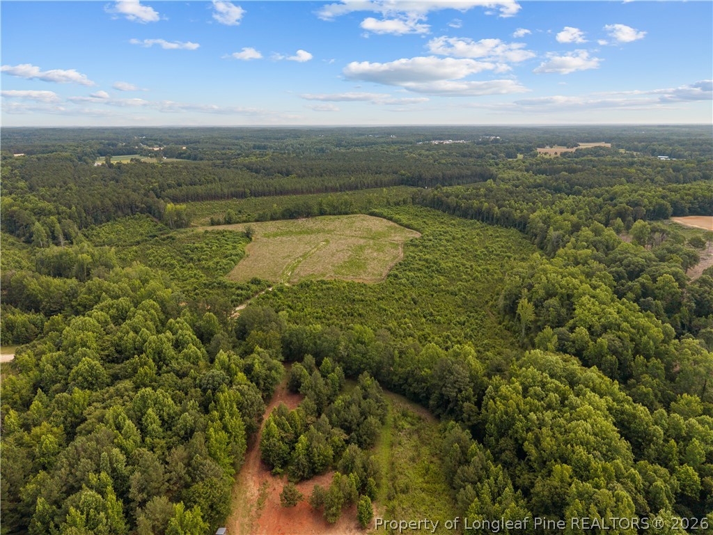 Leaflet Church Road Lillington, NC 27546 - Photo 3 of 20