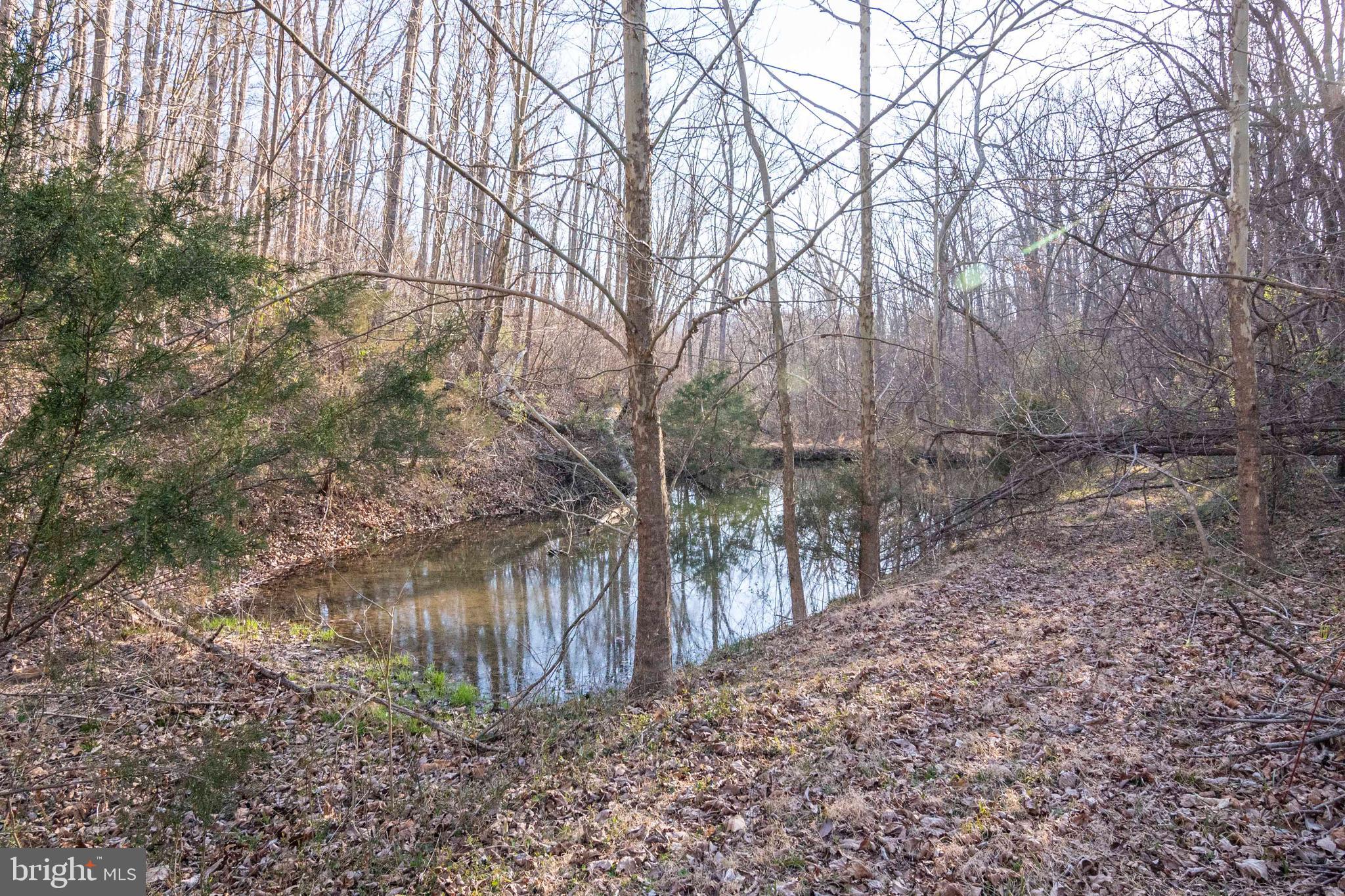 2268 Long Meadow Road Middletown, VA 22645 - Photo 4 of 59 Gallery Image 4