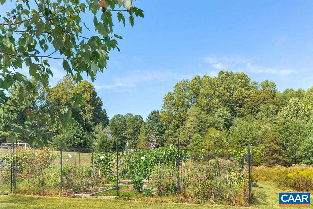 3052 Chimney Ridge Charlottesville, VA 22911 - Photo 35 of 39 Gallery Image 35