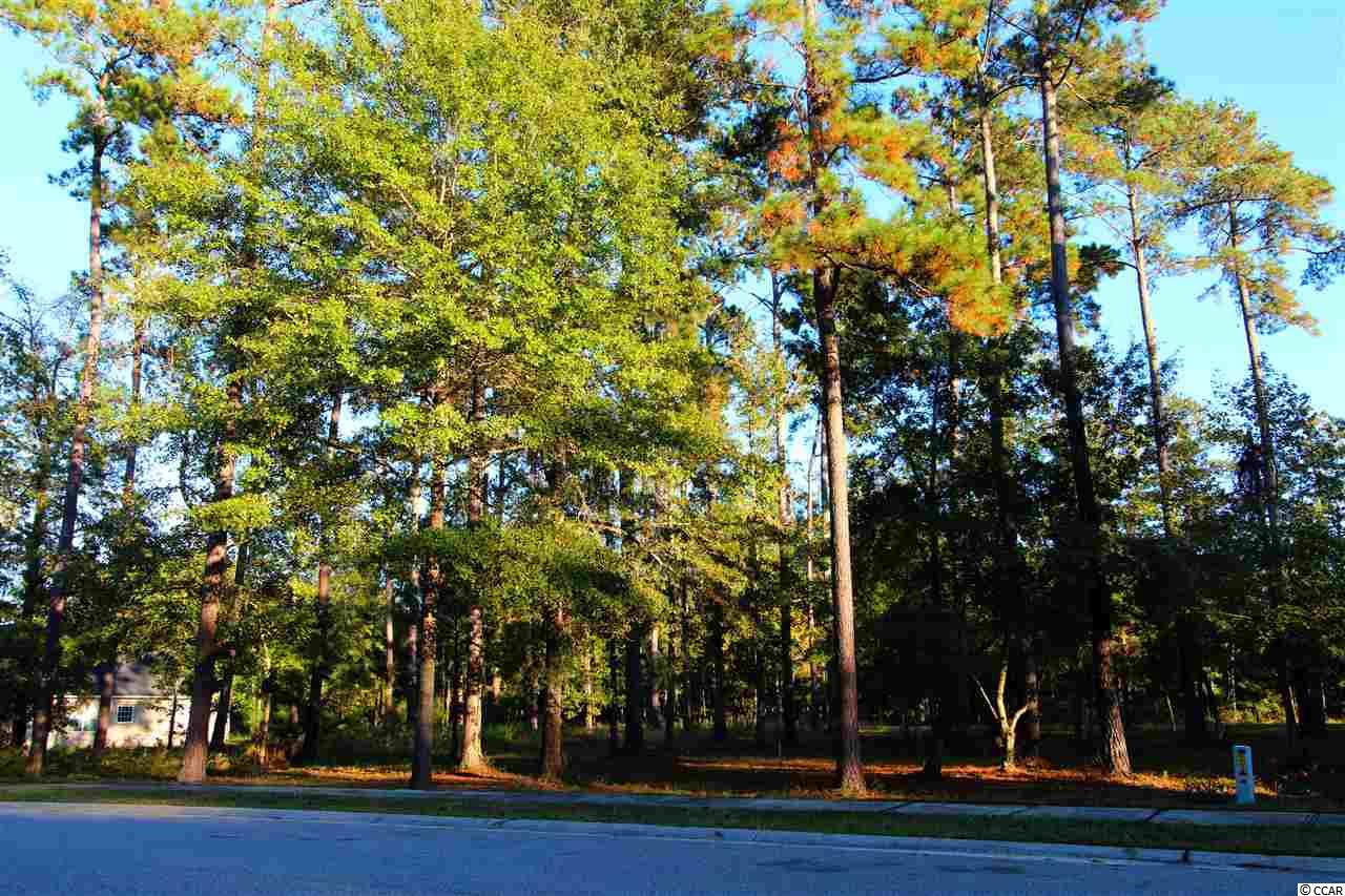 Lot 505 Chamberlin Road Myrtle Beach, SC 29588 - Photo 14 of 23 Gallery Image 14