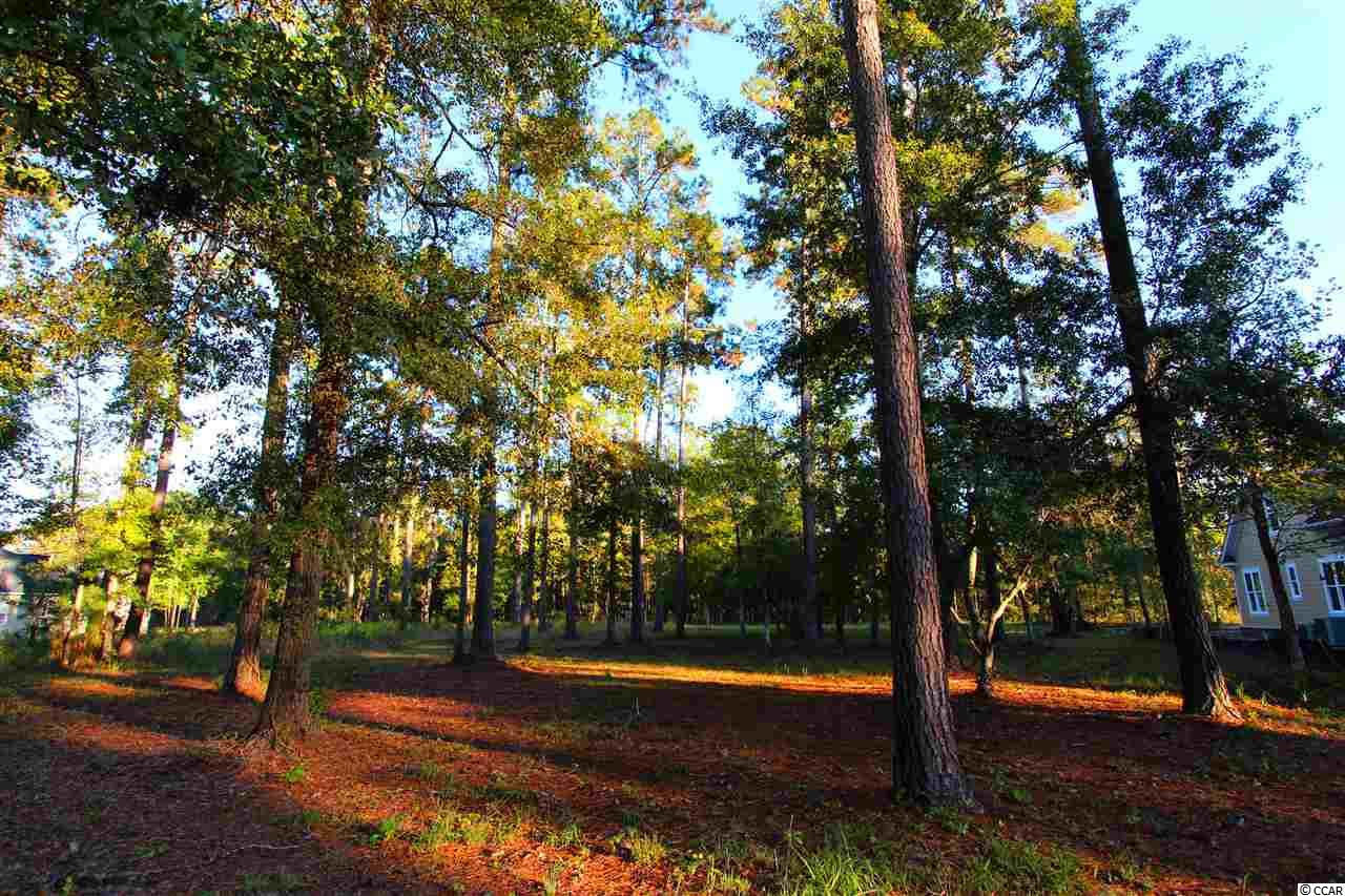 Lot 505 Chamberlin Road Myrtle Beach, SC 29588 - Photo 22 of 23 Gallery Image 22