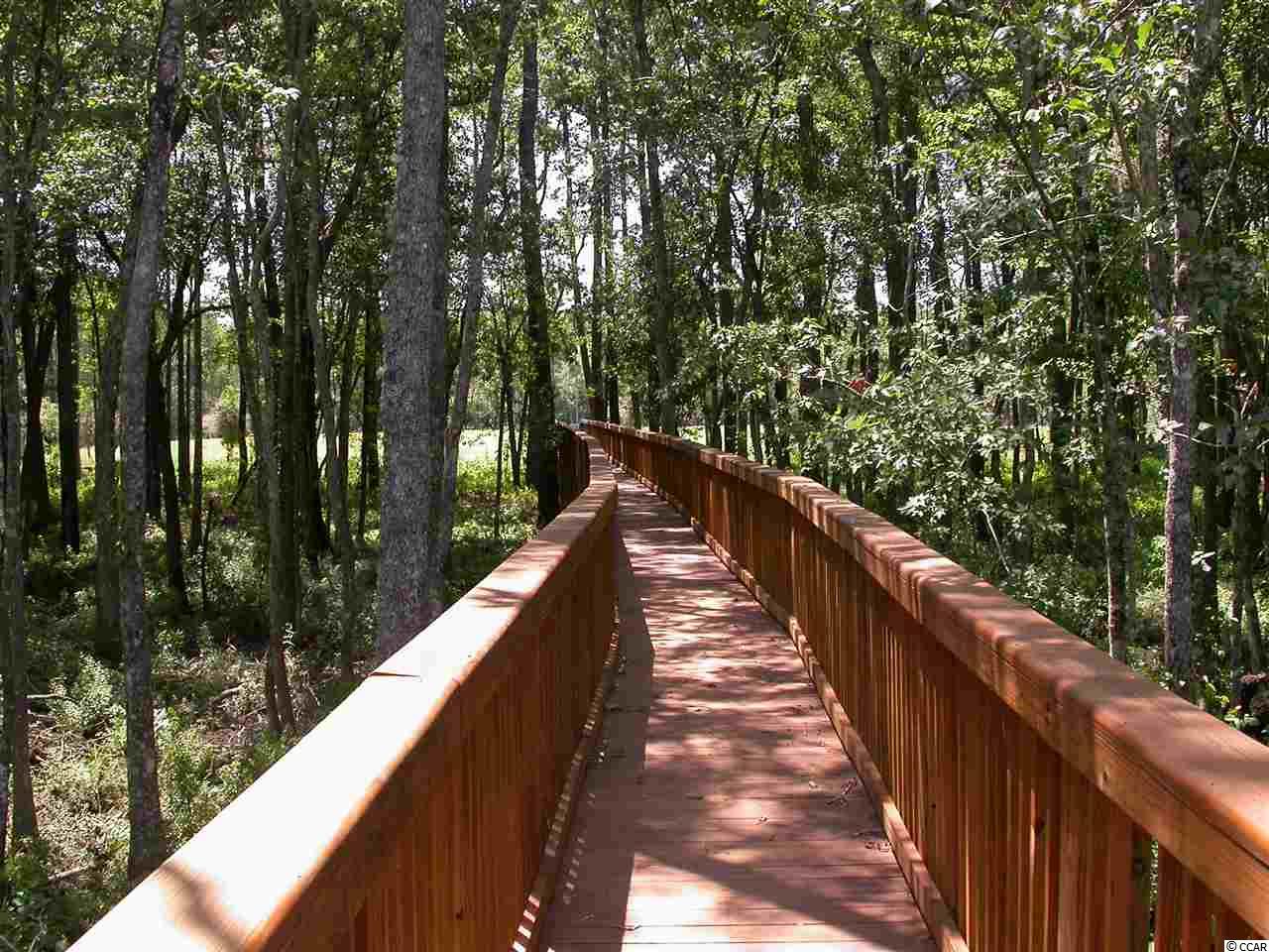 Lot 505 Chamberlin Road Myrtle Beach, SC 29588 - Photo 7 of 23 Gallery Image 7